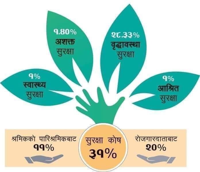 योगदानमा आधारित सामाजिक सुरक्षा योजना लागू