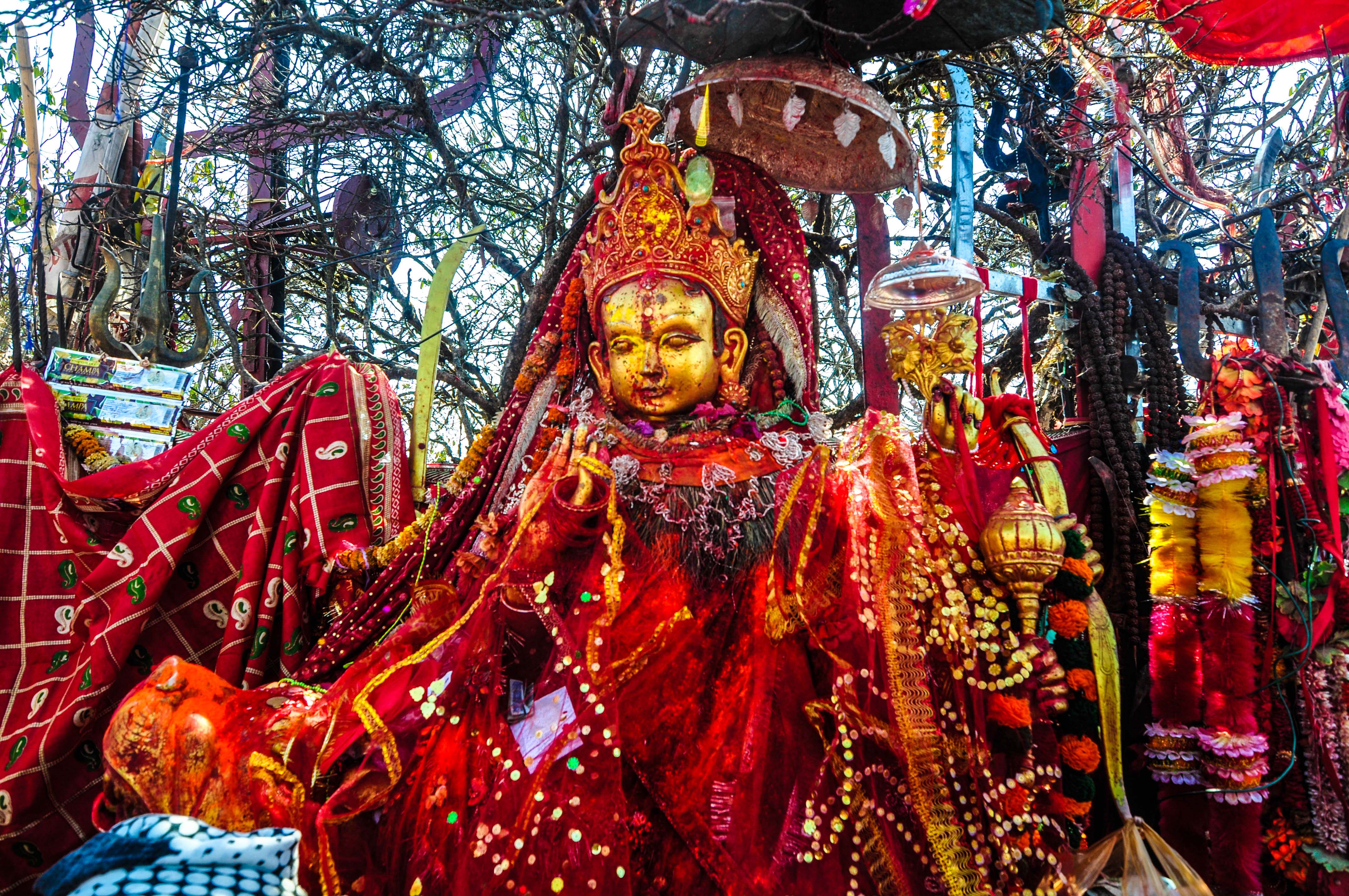 तपाईंको राशिफल मङ्सिर २९ गते आइतबार