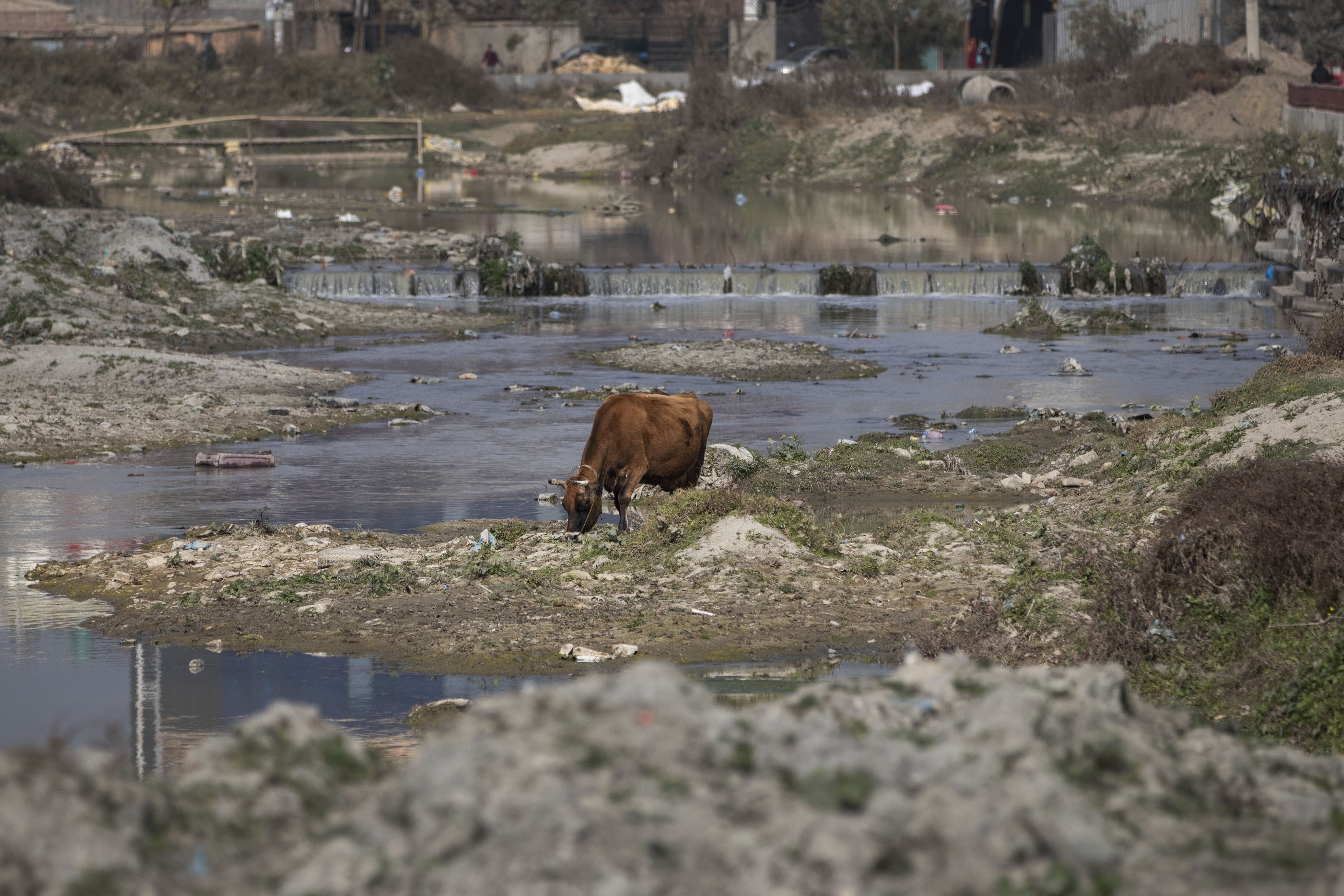 वाग्मती सफाइसँगै सिधै ढल हाल्ने क्रम जारी