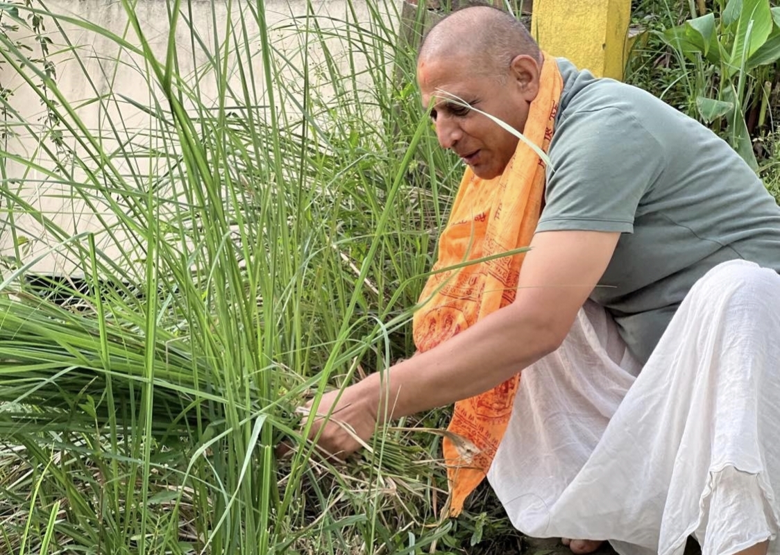 कुशे औँसी (गोकर्णे औँसी), पितृ सम्मान दिवस